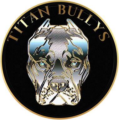 Titan Bullys